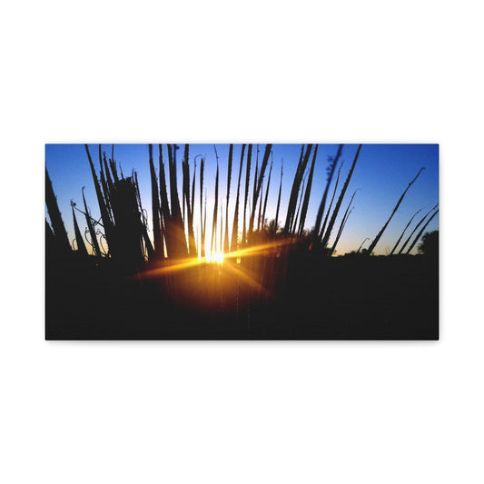 Sunset Silhouette Canvas – Minimalist Nature Wall Art for Home & Gifts
