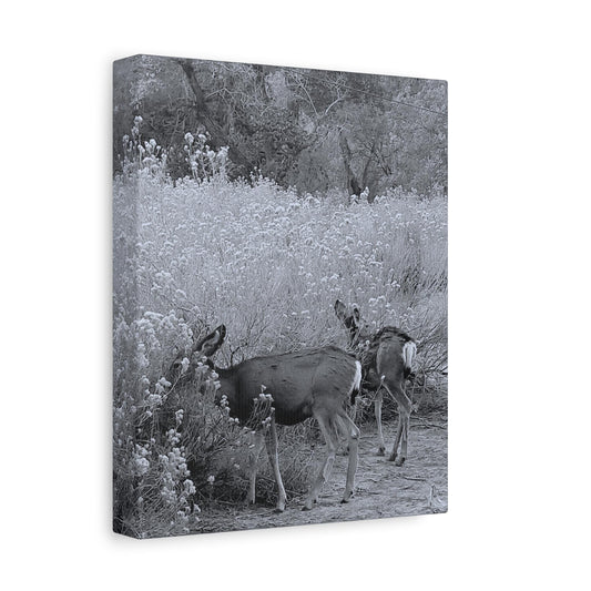 Black & White Deer Canvas – Rustic Nature Wall Art for Animal Lovers